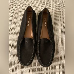 Coach amber suede loafers
